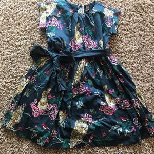 Cutest dress from Nordstrom - Tea
